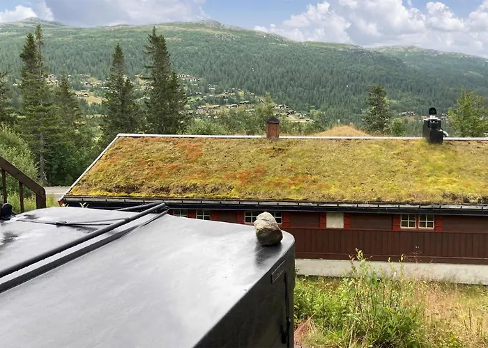 In With Wifi * Rjukan