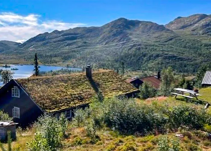 In With Wifi Tatil Evi *